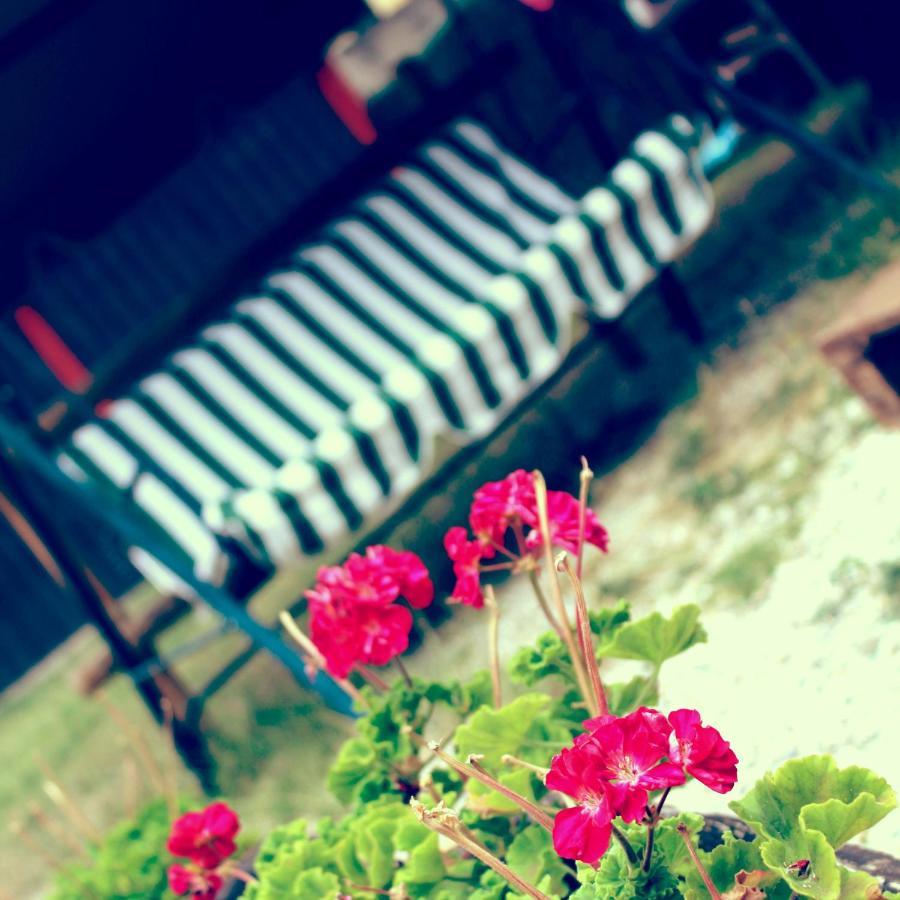 B&B Red House Garlate Eksteriør billede